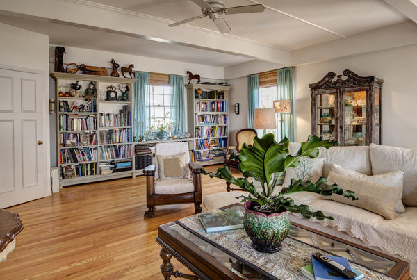 Comfortable living room with bookshelves, personal keepsakes, a cream sofa, and houseplants